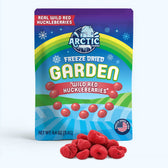 Freeze Dried Wild Red Huckleberries
