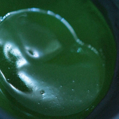 Organic Ceremonial Grade Matcha — Haru (100g/3.5oz)