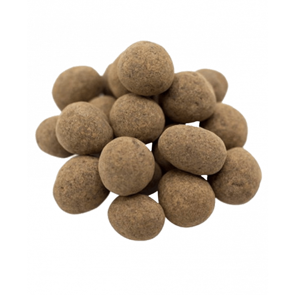 Chocolate Covered Sprouted Hazelnuts - Vegan America