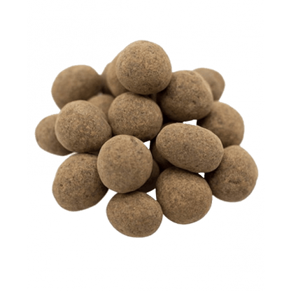 Chocolate Covered Sprouted Hazelnuts - Vegan America