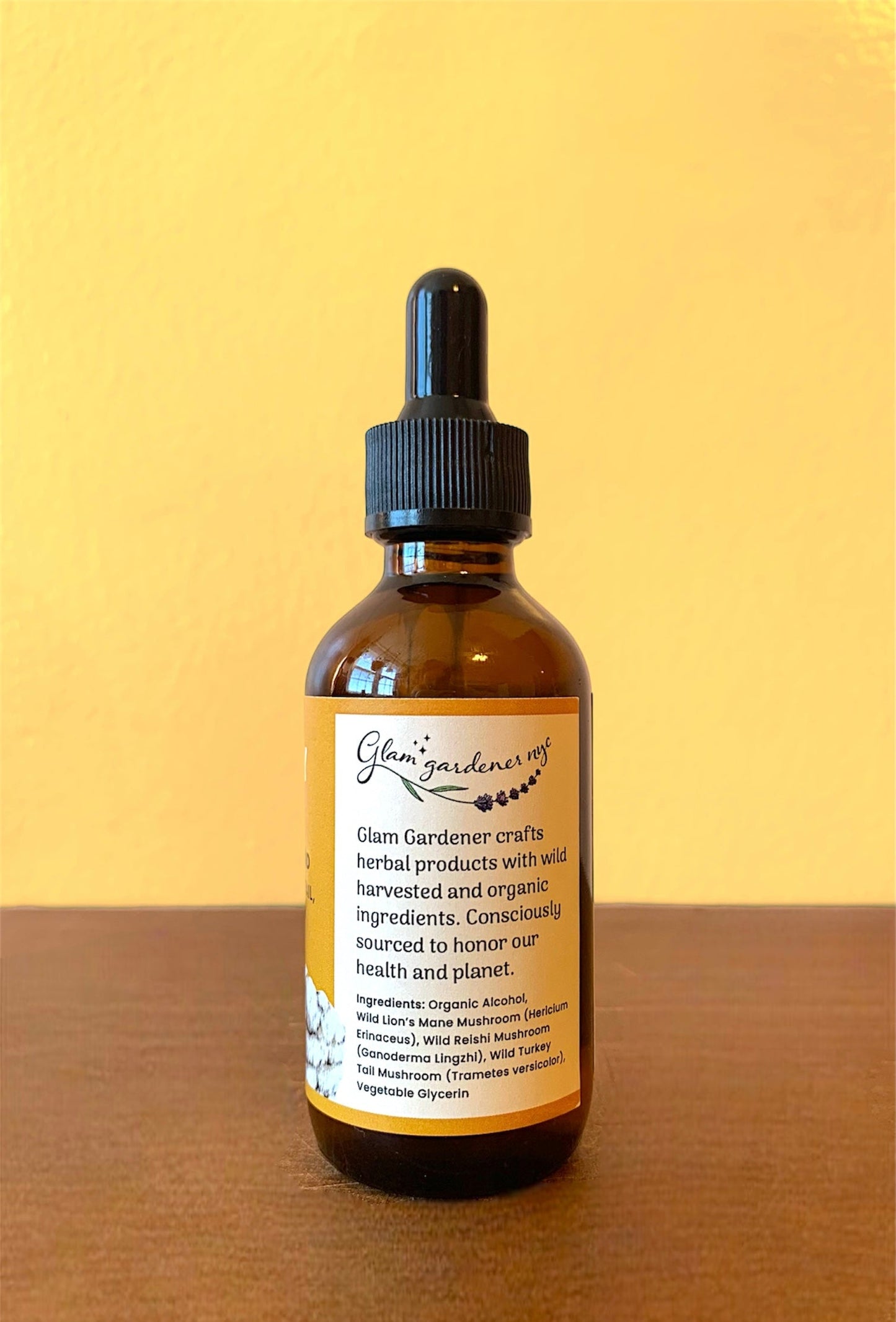 Healthy Brain: Lion's mane, Reishi and Turkey Tail Mushroom Herbal Tincture