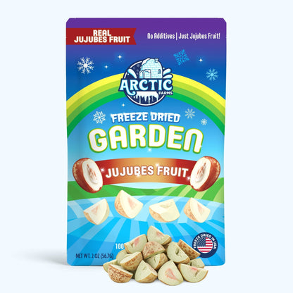 Freeze Dried Jujubes Fruit