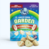 Freeze Dried Jujubes Fruit