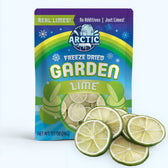 Freeze Dried Lime Slices - Vegan America