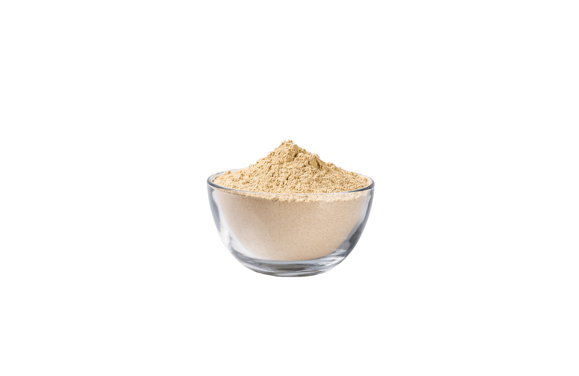 RawGuru Raw Organic Gelatinized Maca Powder - 16 oz - Vegan America