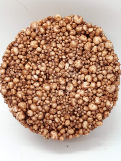 NEW Milk Chocolate Alegria Bites - Vegan America