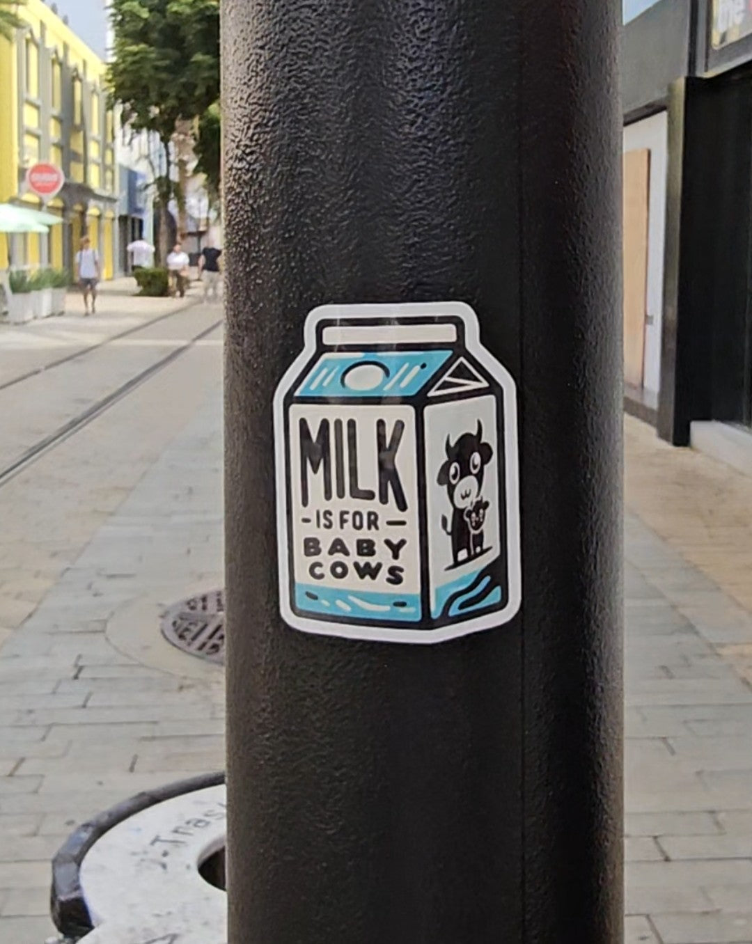 Milk Is For Baby Cows