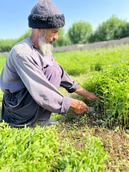 Herati Mint Leaves (peppermint) 1 Oz