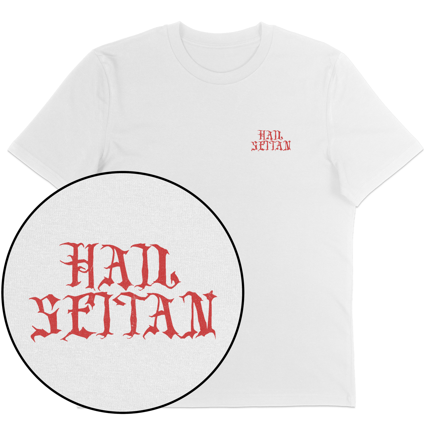 Hail Seitan Streetwear T-Shirt - Vegan America