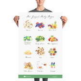 Daily Dozen Watercolor Poster - Vegan America