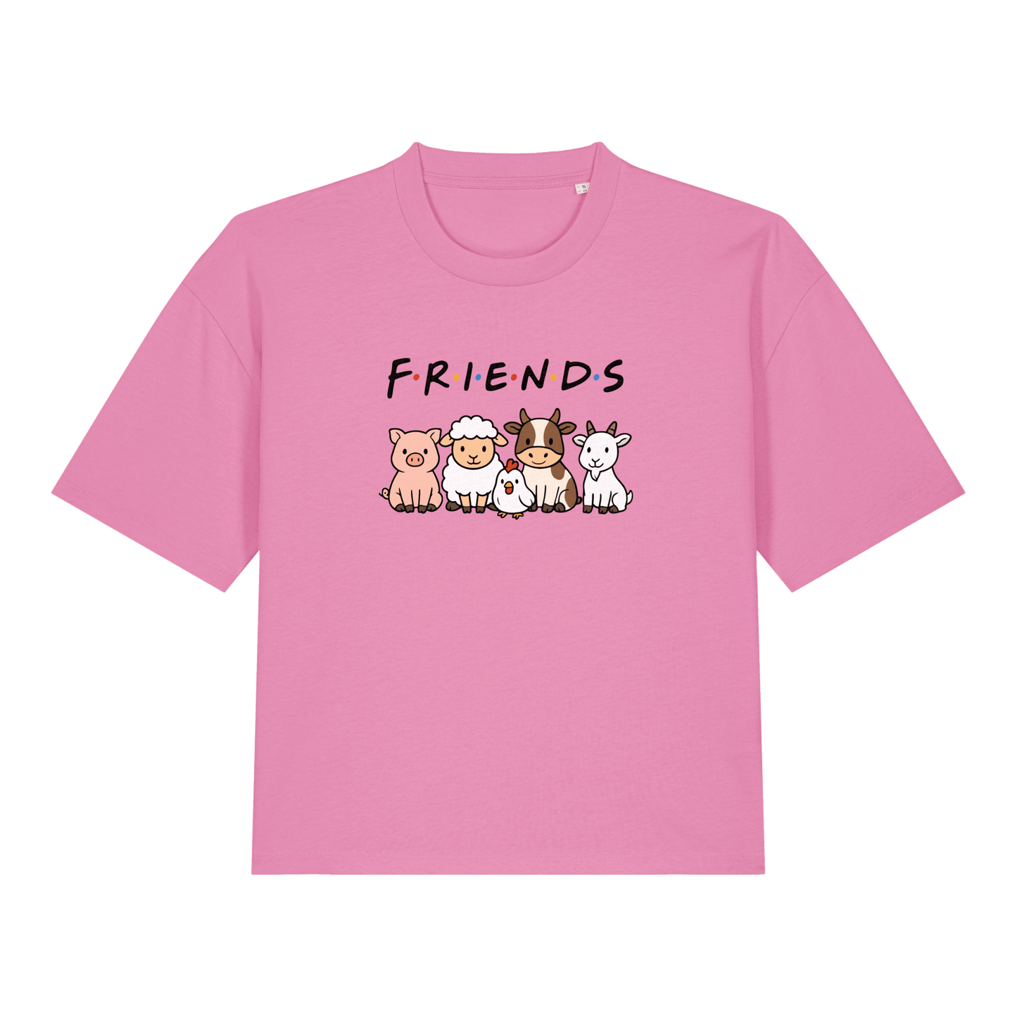 Friends Women's Boxy T-Shirt - Vegan America