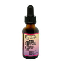 Mushroom Master Tincture Daily Wellness | 1 oz - Vegan America