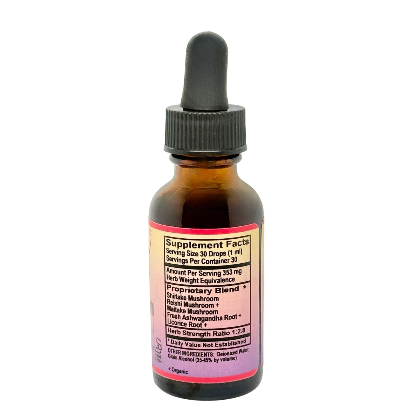 Mushroom Master Tincture Daily Wellness | 1 oz - Vegan America