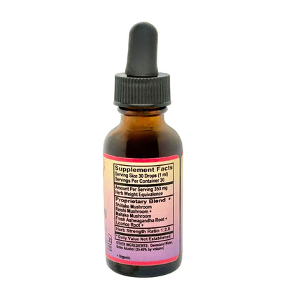 Mushroom Master Tincture Daily Wellness | 1 oz - Vegan America