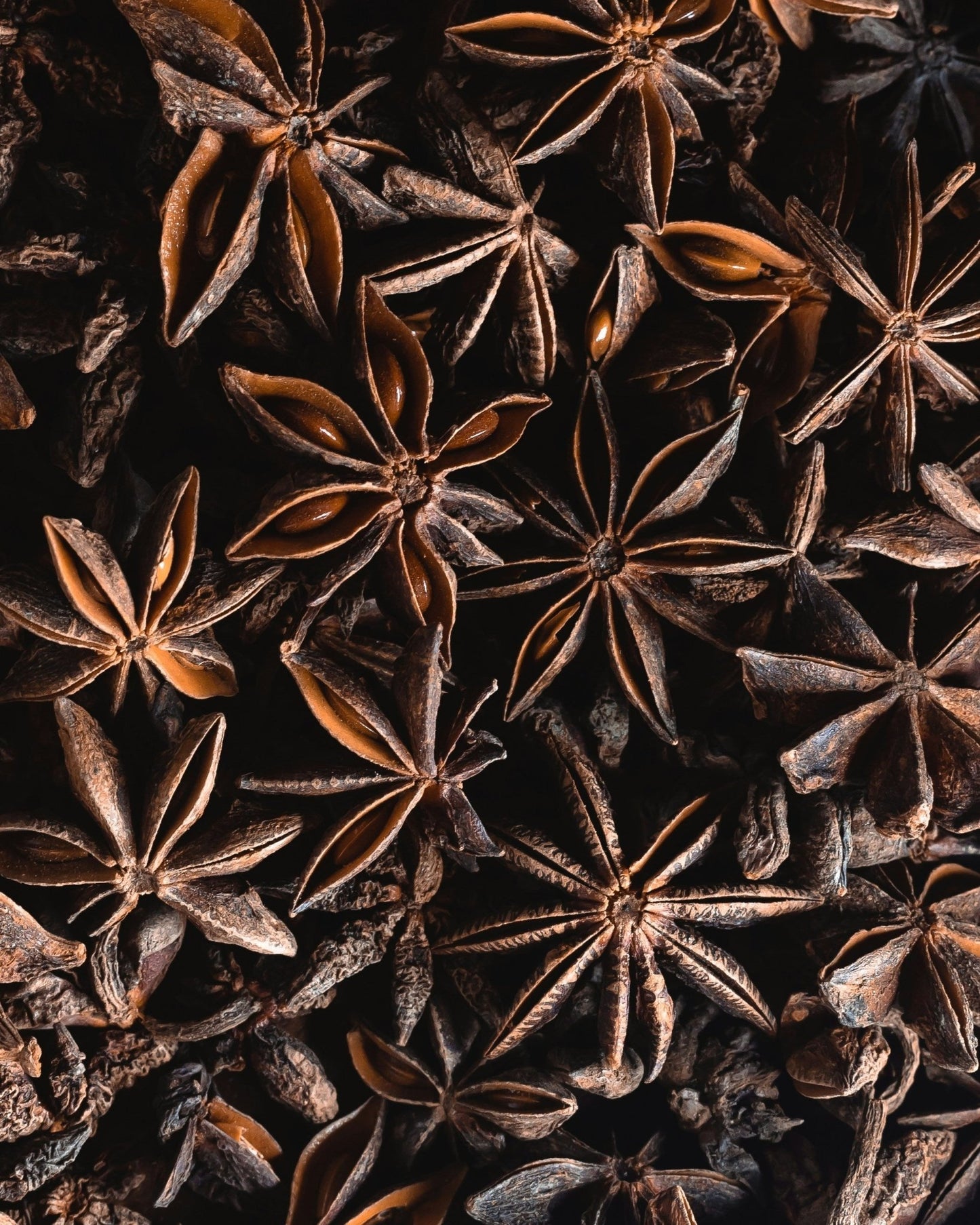 Star Anise 0.5 Oz (14.5 grams) - Vegan America
