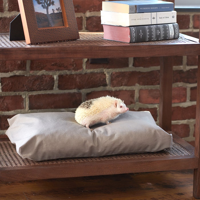 Organic Pet Bed with Washable Waterproof Cover - Small