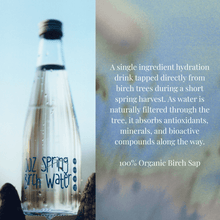 OOZ Organic Birch Water - 6 Pack - Vegan America
