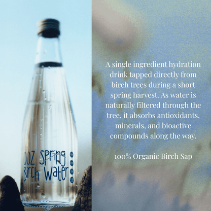 OOZ Organic Birch Water - 6 Pack - Vegan America