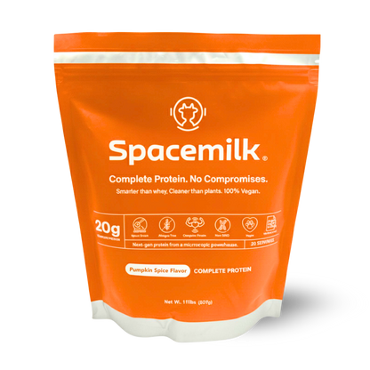 Protein | Pumpkin Spice