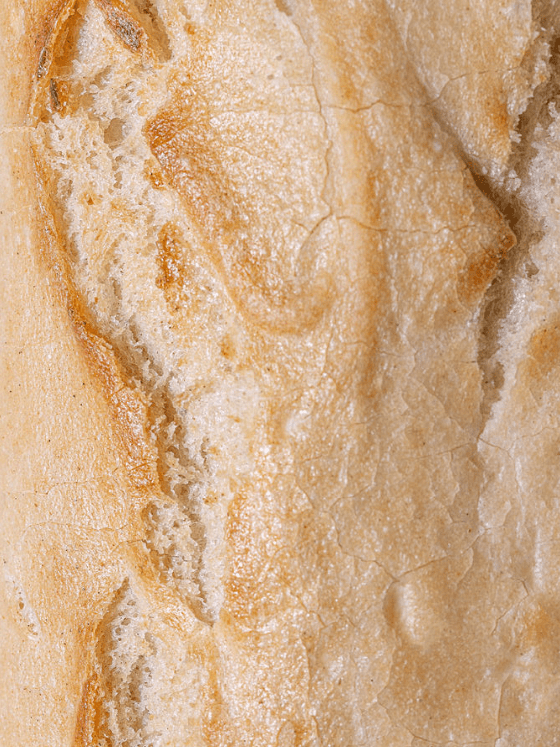 Classic Gluten-Free Sourdough Value Pack (2 XL Loaves) - Vegan America