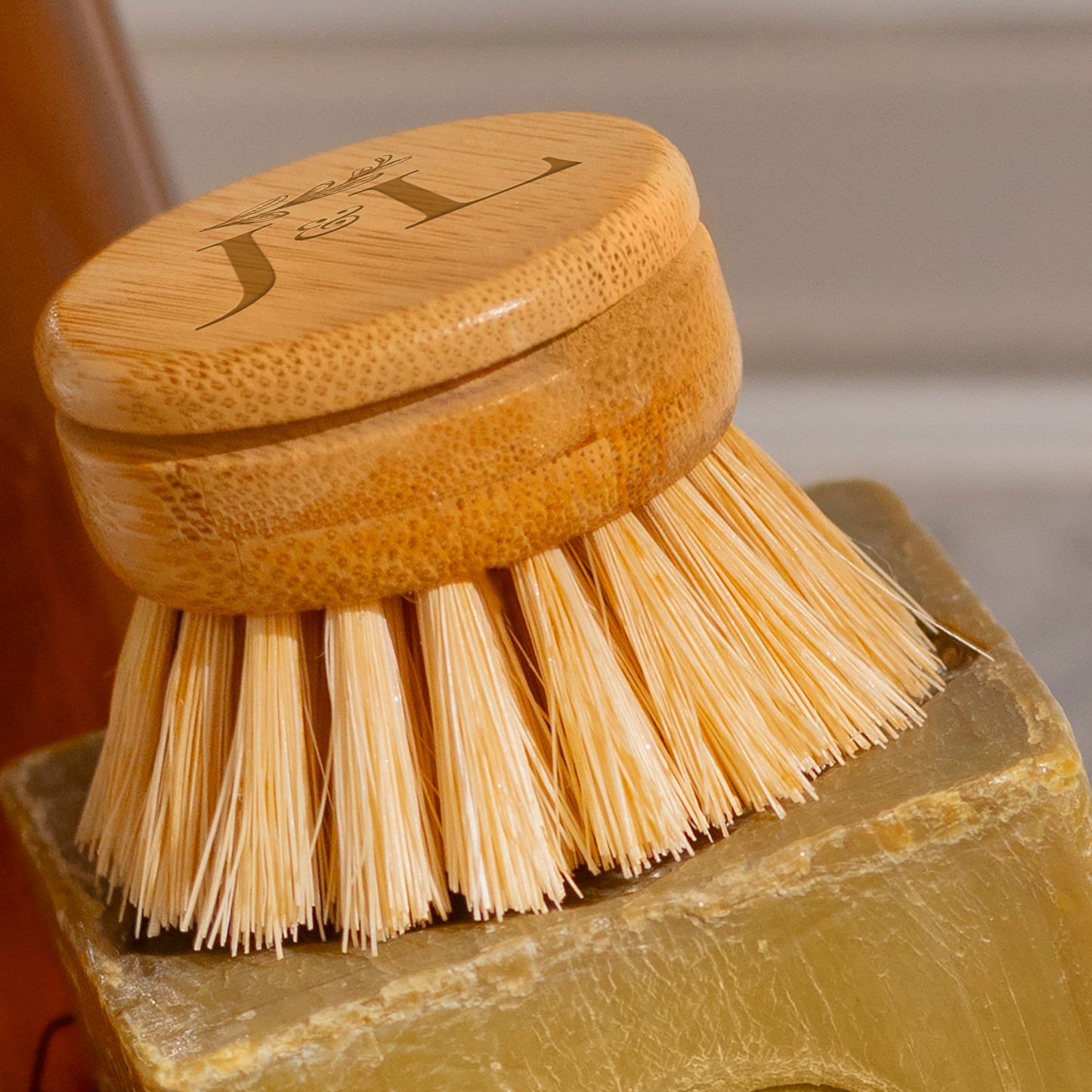 Bamboo Dish Brush With Long Handle