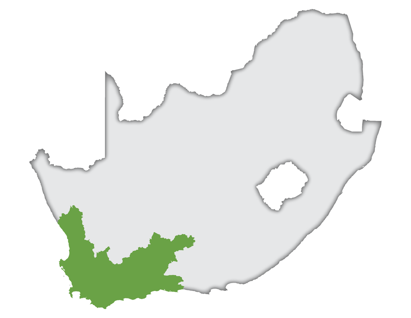 Sauvignon Blanc