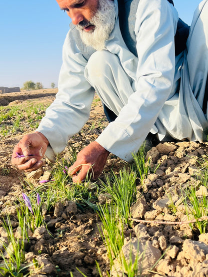 Heray Saffron Superior Negin Quality