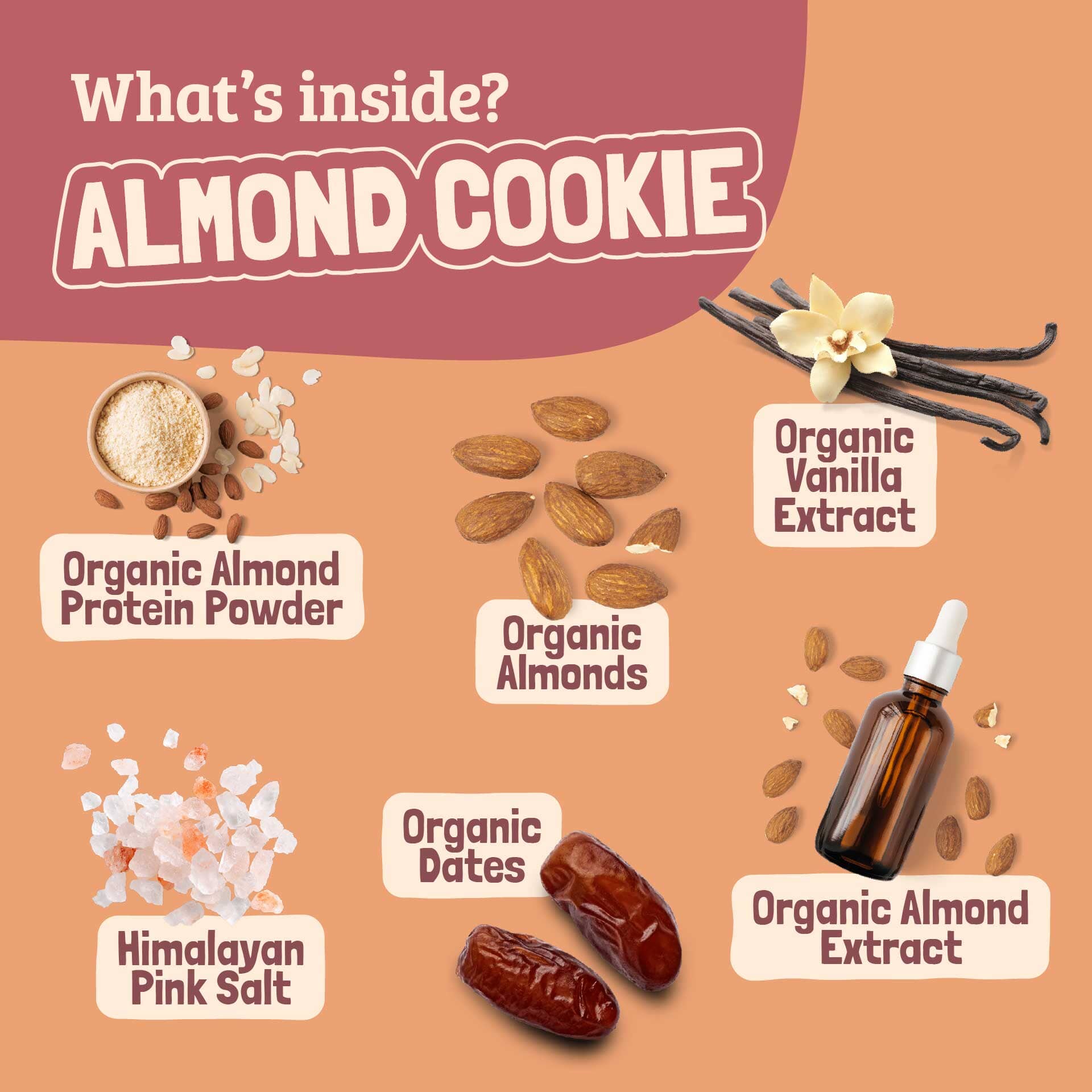 Skout Organic Almond Cookie Kids Bar - Vegan America