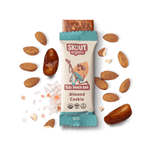 Skout Organic Almond Cookie Kids Bar - Vegan America