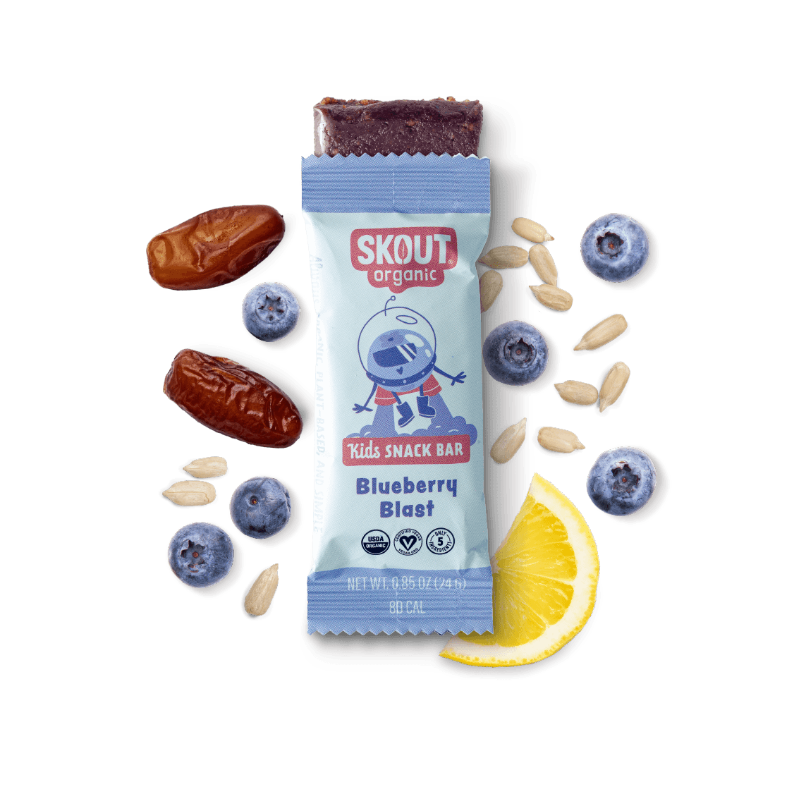 Skout Organic Blueberry Blast Kids Bar - Vegan America