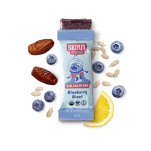Skout Organic Blueberry Blast Kids Bar - Vegan America