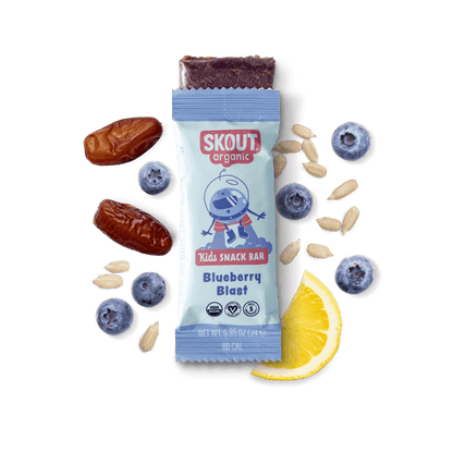 Skout Organic Blueberry Blast Kids Bar - Vegan America