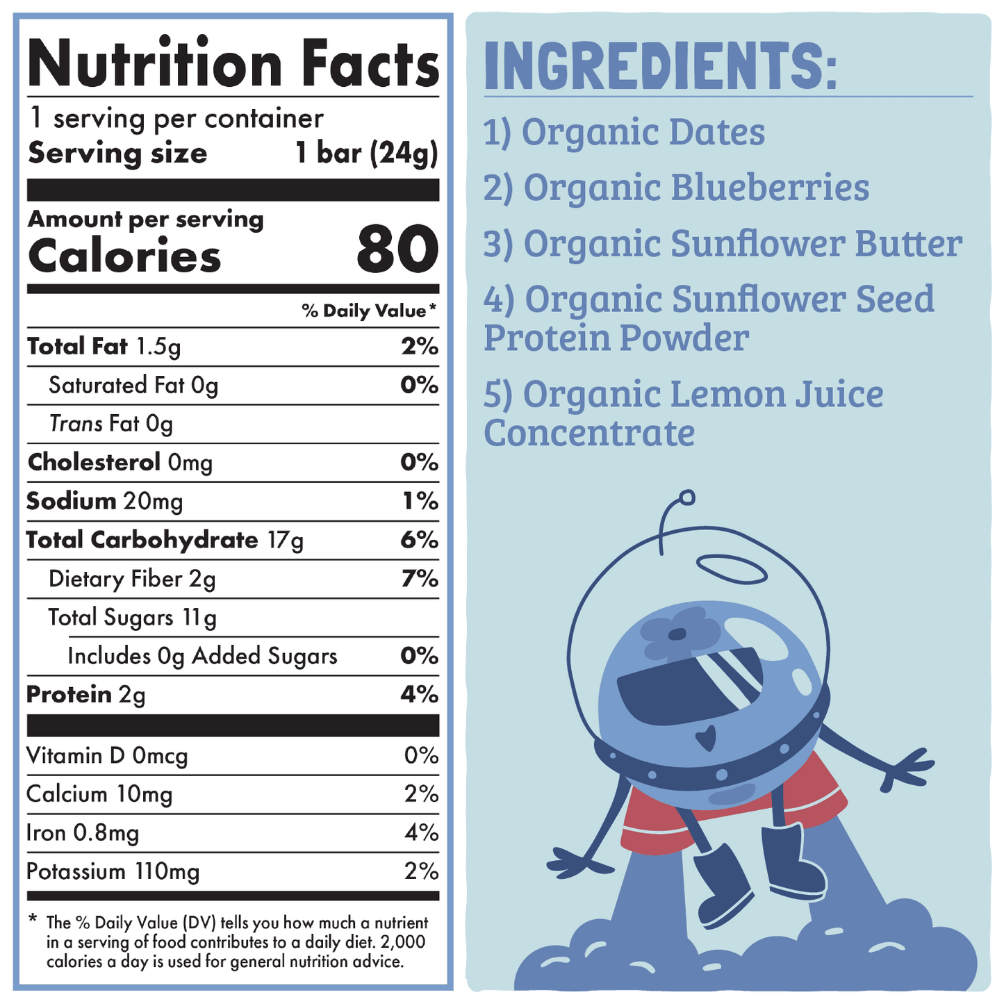 Skout Organic Blueberry Blast Kids Bar - Vegan America