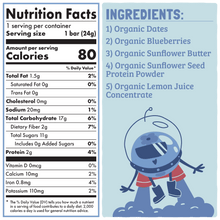 Skout Organic Blueberry Blast Kids Bar - Vegan America