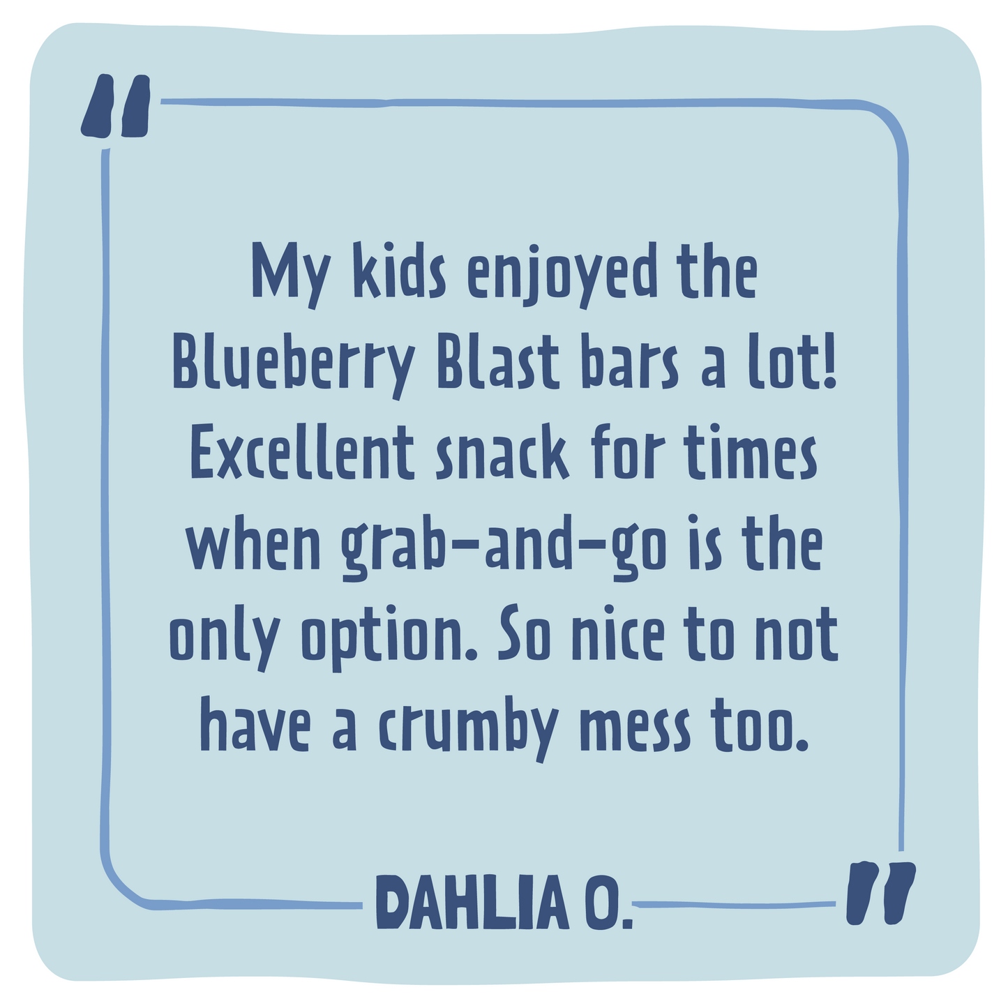 Skout Organic Blueberry Blast Kids Bar - Vegan America
