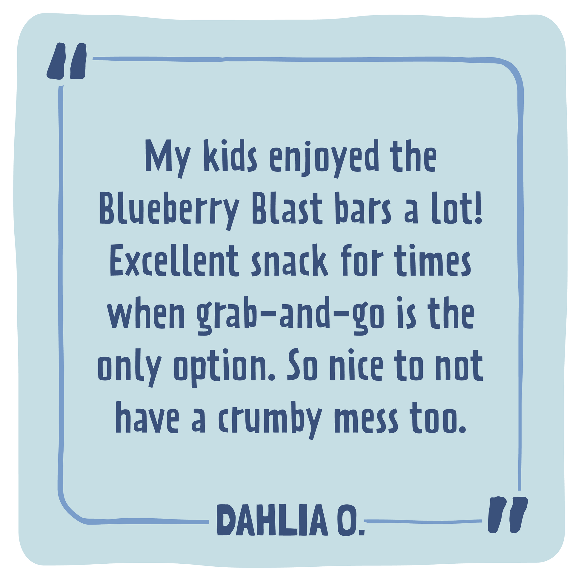 Skout Organic Blueberry Blast Kids Bar - Vegan America