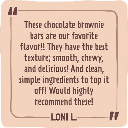 Skout Organic Chocolate Brownie Kids Bar - Vegan America