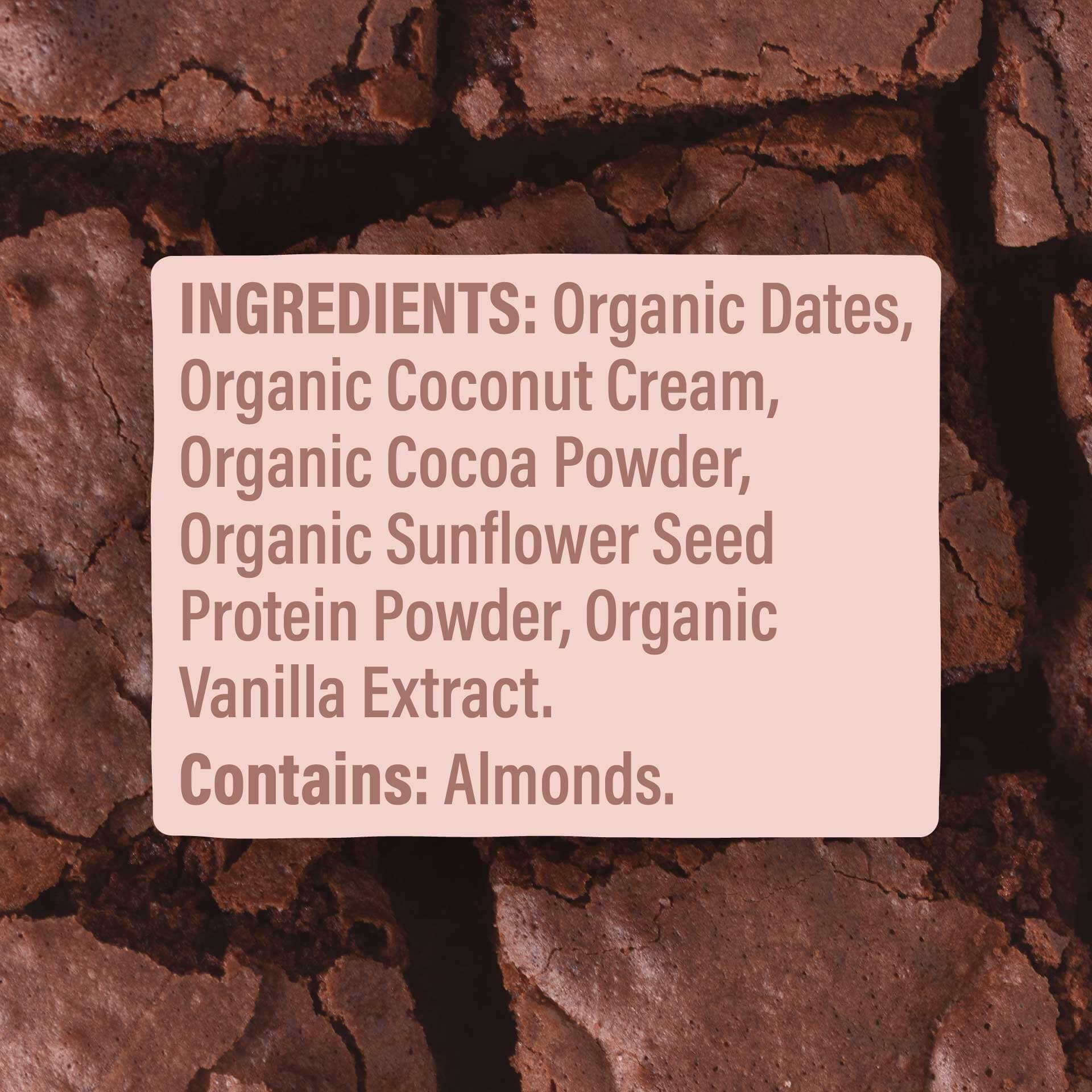 Skout Organic Chocolate Brownie Kids Bar - Vegan America
