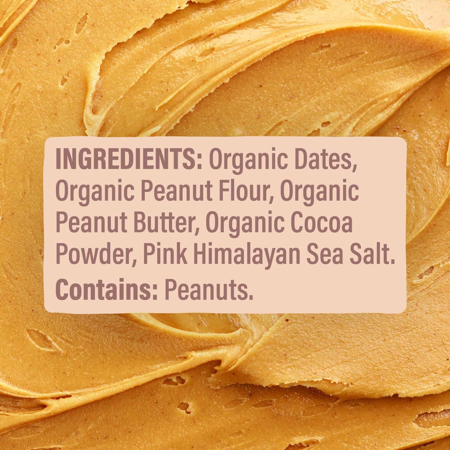 Skout Organic Chocolate Peanut Butter Kids Bar - Vegan America