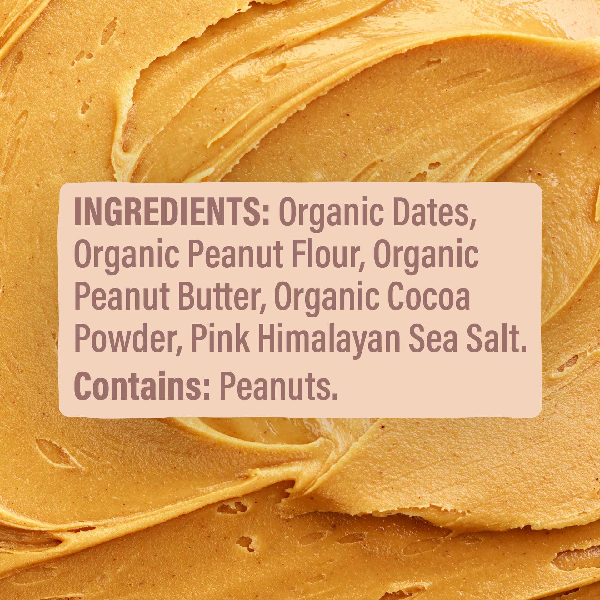 Skout Organic Chocolate Peanut Butter Kids Bar - Vegan America