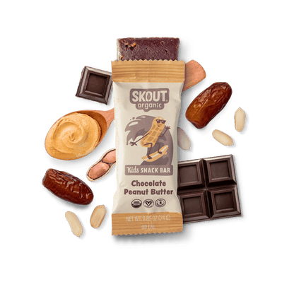 Skout Organic Chocolate Peanut Butter Kids Bar - Vegan America