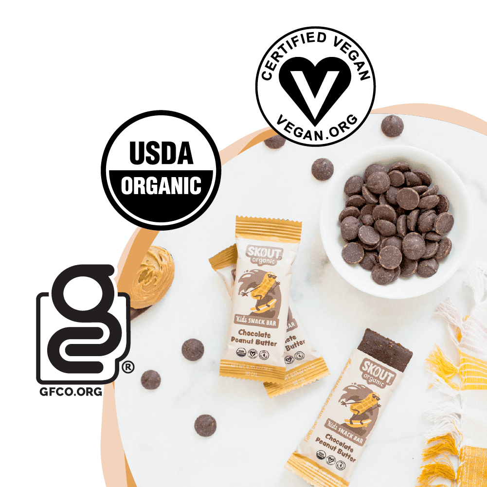 Skout Organic Chocolate Peanut Butter Kids Bar - Vegan America