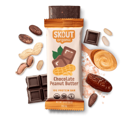 Skout Organic Chocolate Peanut Butter Protein Bar - Vegan America