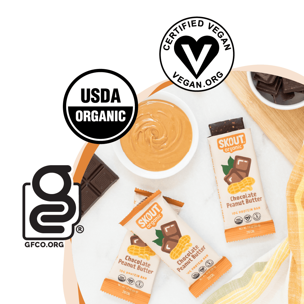 Skout Organic Chocolate Peanut Butter Protein Bar - Vegan America