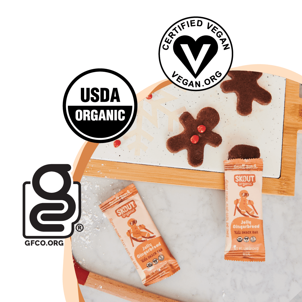 Skout Organic Jolly Gingerbread Kids Bar - Vegan America