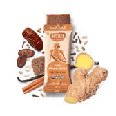 Skout Organic Jolly Gingerbread Kids Bar - Vegan America