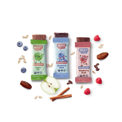 Skout Organic Kids Fruit Bar Variety Pack - Vegan America