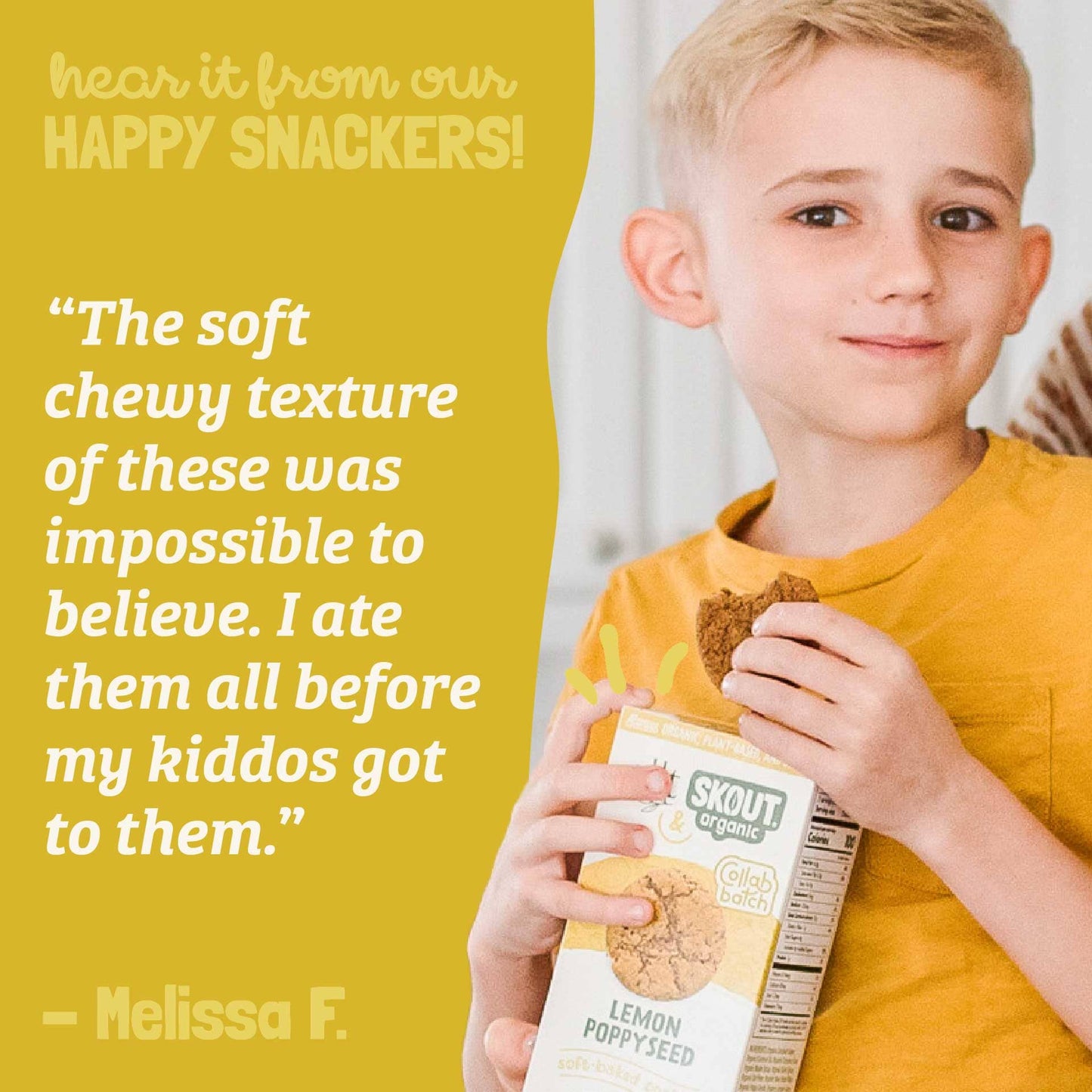 Skout Organic Lemon Poppyseed Soft Baked Cookies - Vegan America