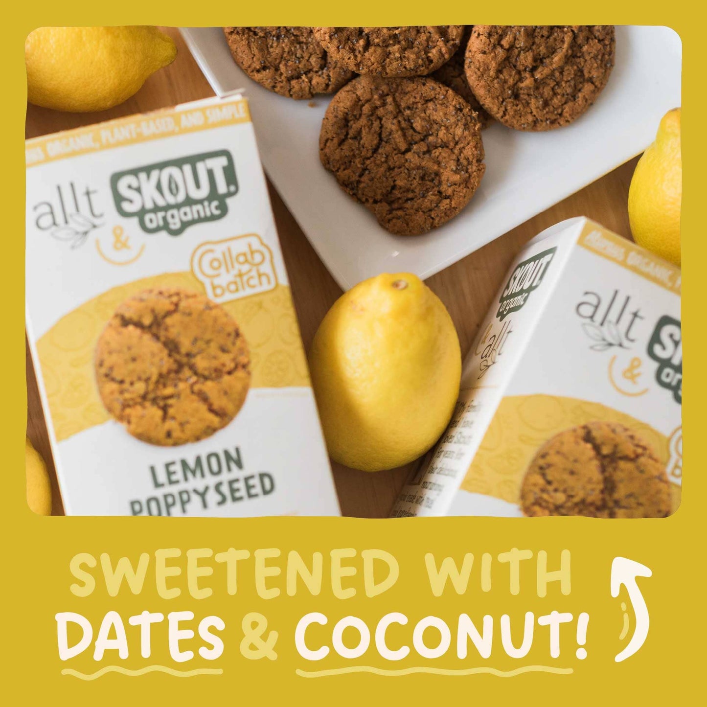Skout Organic Lemon Poppyseed Soft Baked Cookies - Vegan America