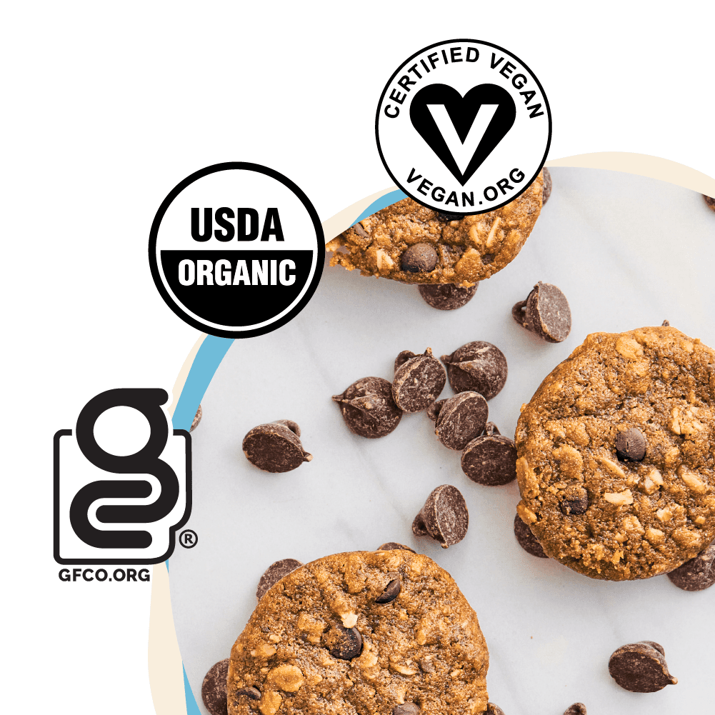 Skout Organic Oatmeal Chocolate Chip Soft Baked Cookies - Vegan America